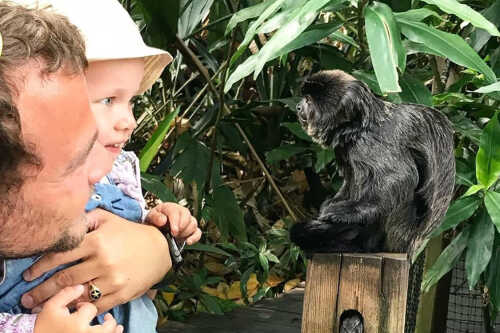 Mann som holder lite barn og ser på apekatt nærme.